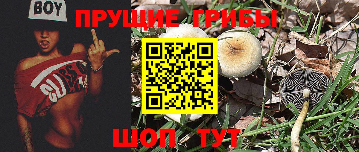Псилоцибиновые грибы MAGIC MUSHROOMS Нефтекамск